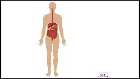 Unit 3: Lesson 1 - Building Blocks and Systems