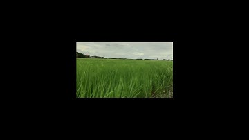 take a break from scrolling full video on my YouTube