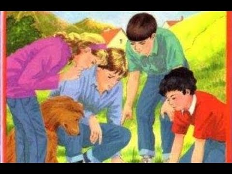 ASMR Reading: Five On Finniston Farm, Part 6, Chapters 15 & 16 || Soft Spoken