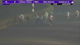 Vidéo de la course PMU PREMIO CAMILA LA BELLA