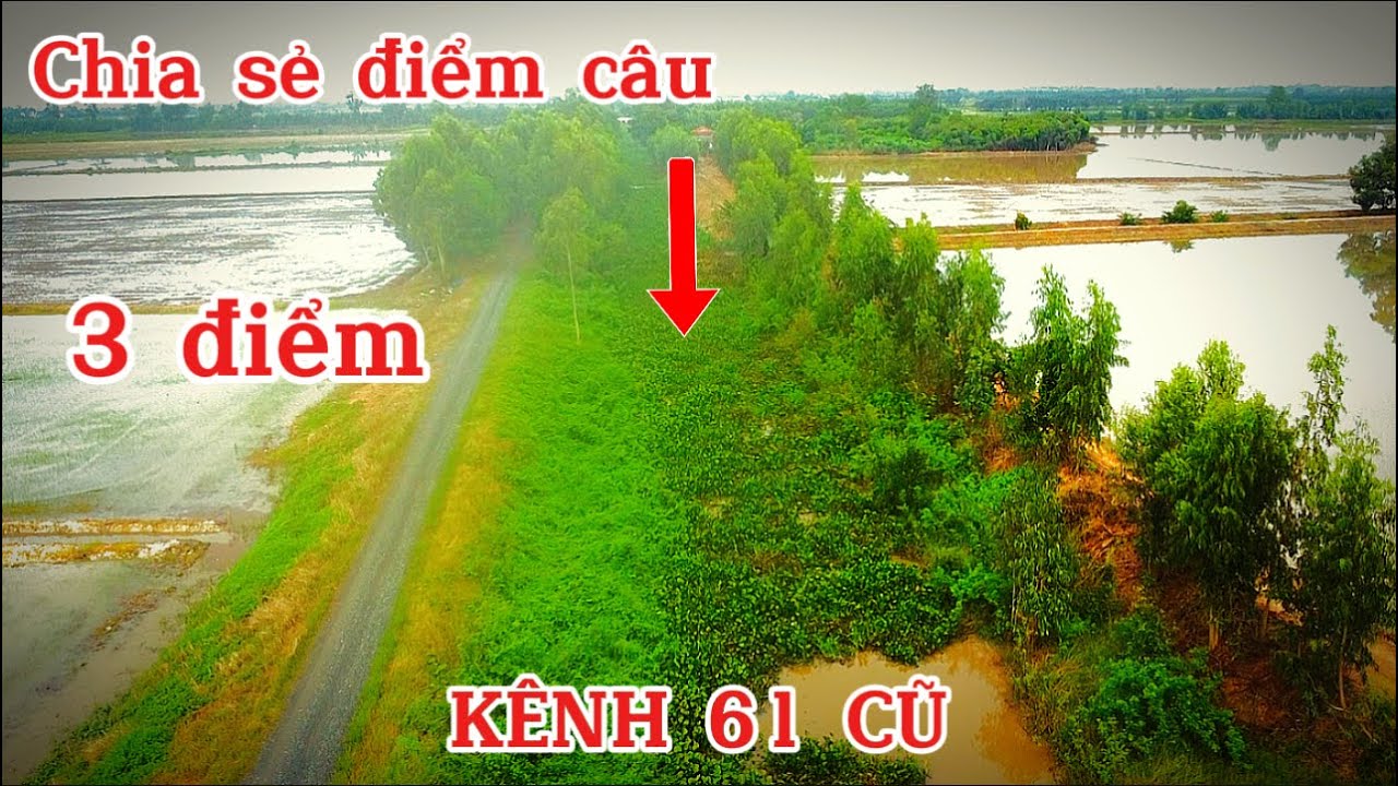 Chia sẻ với anh em thêm 3 điểm nữa.kênh 61 ( cũ )+bình phong thạnh +bình hoà đông- long an