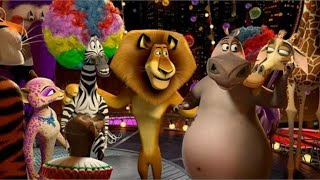 Madagascar Best Ever Circus Performance Sia Cheap Thrill