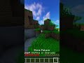 MINECRAFT MA... ma i MINERALI sono OP...