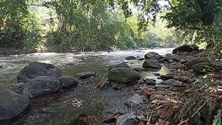 Spot Mancing di Aliran Sungai Silo Sanen, Suaranya Menangkan Enak Buat Pengantar Tidur