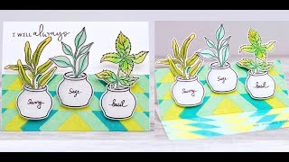 Pop-up Spice Garden Card