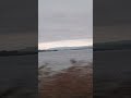 Bodensee #nature #love #travel #lake #automobile#sad #viral