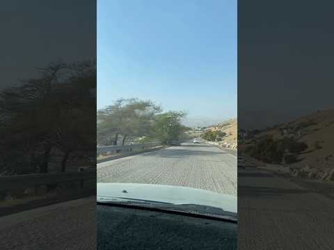 شجرة الغرقد التي يزرعها اليهود اكسبلور ناصر الطائي سوريا