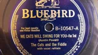 Vignette de la vidéo "We Cats Will Swing For You - The Cats and the Fiddle"