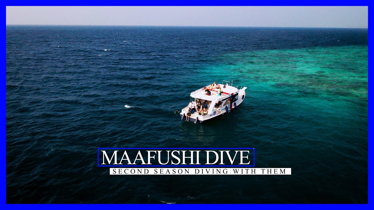 Maafushi Dive - our favourite Dive Center in the world, Maldives