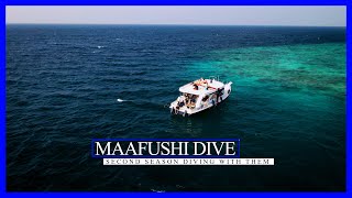Maafushi Dive - our favourite Dive Center in the world, Maldives