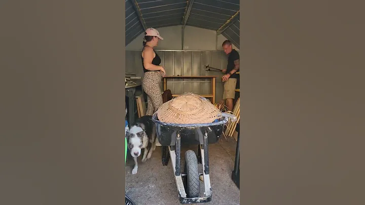 Extreme declutter!Shed edition #cleaningmotivat......