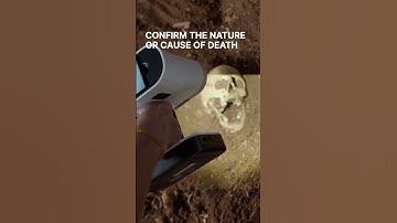 A New Way to Process Crime Scenes: Artec 3D Scanners