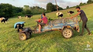 Patpat Ile Ineklere Mısır Getirdik