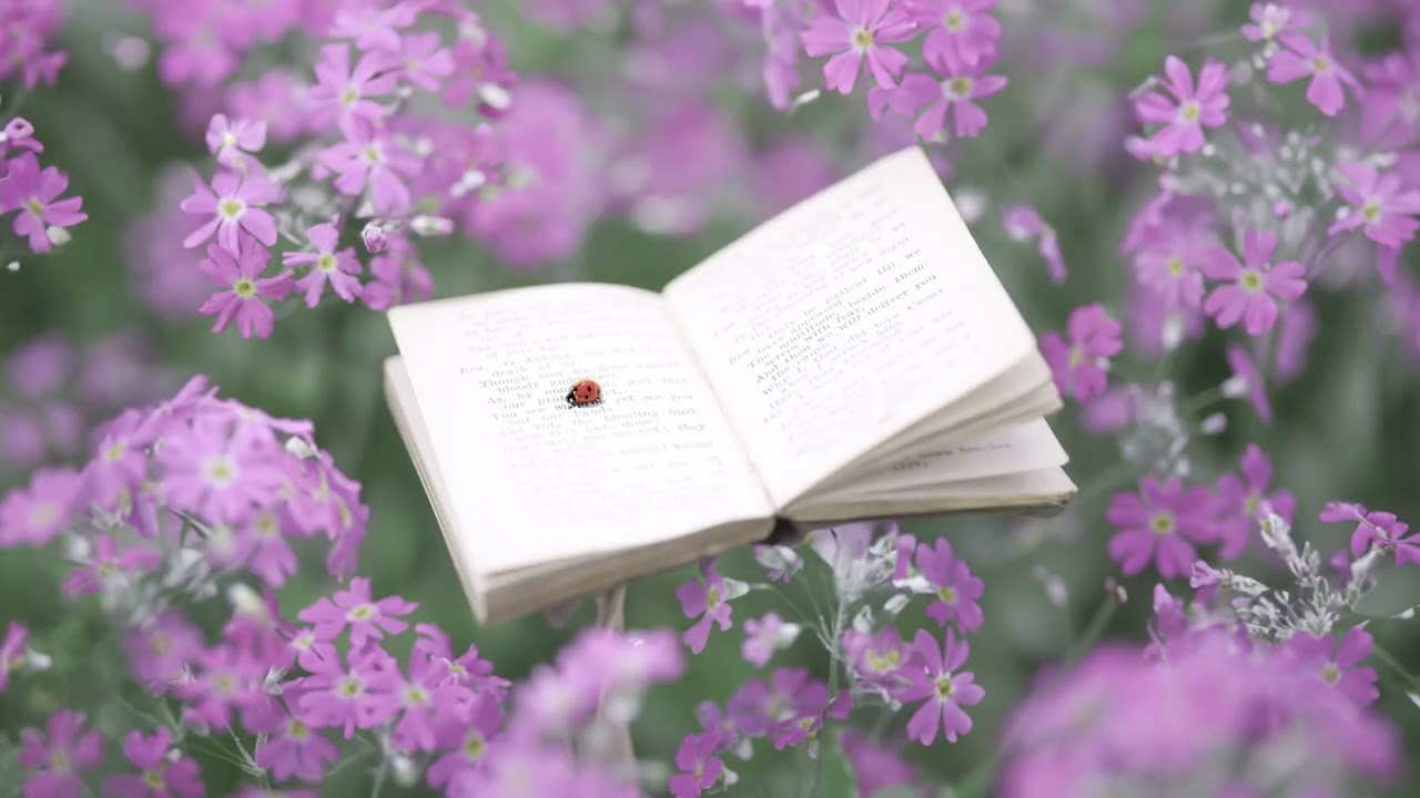 Fairytale of Nature Photography- ai #nature #ladybug #bees #garden#photography