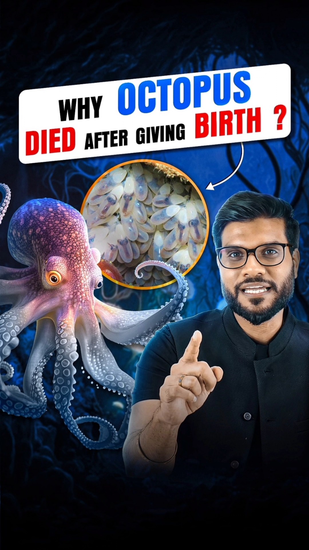 ऑक्टोपस ? जन्म देने के बाद क्यों मर जाते है ? #shorts #facts #youtubeshorts by Dr. #arvindarora