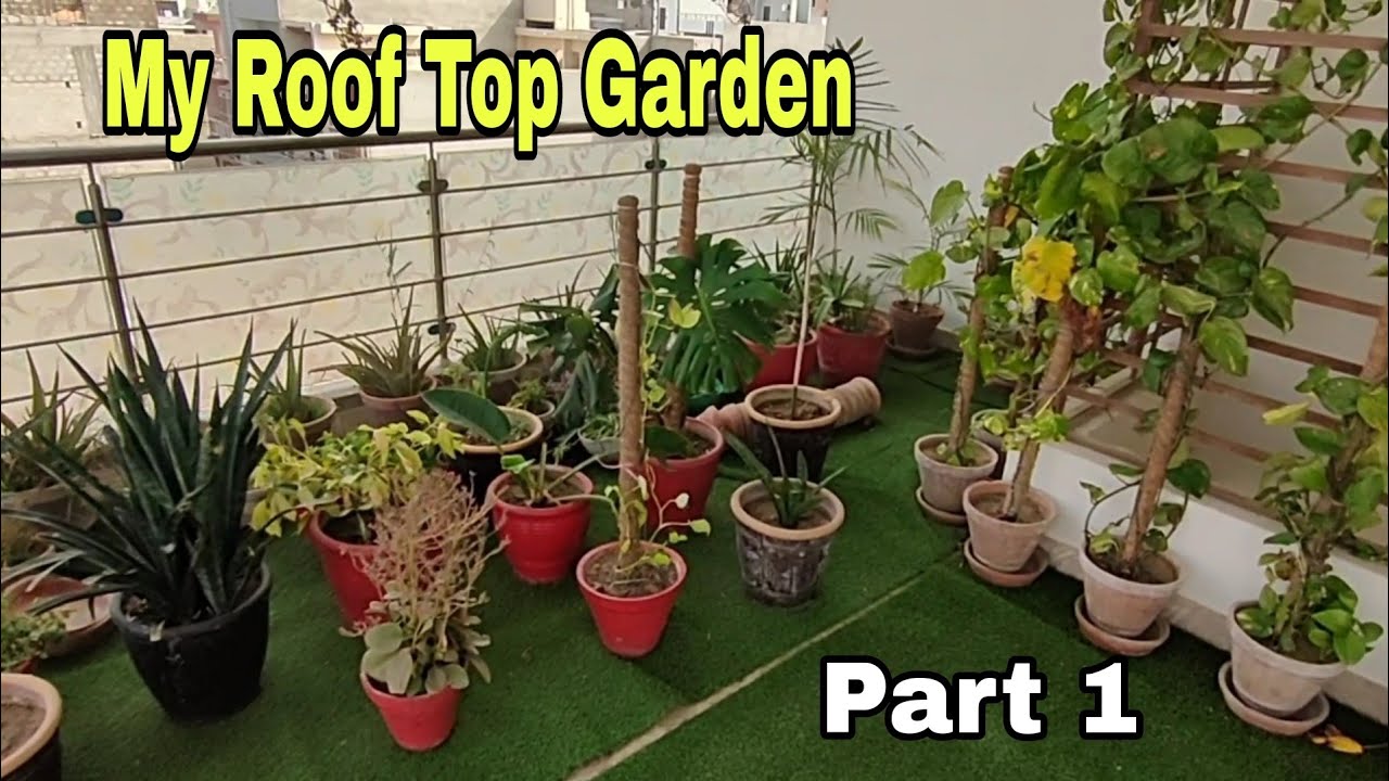 Rooftop Garden Overview KK Home Gardening Part 1 Terrace