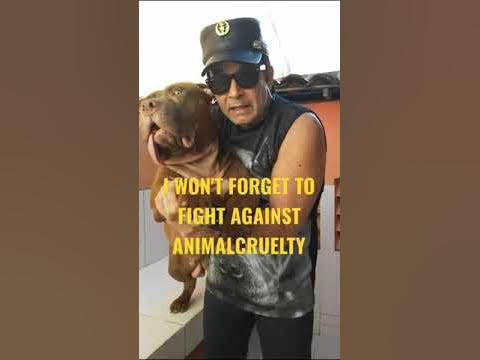 DON'T FORGET TO FIGHT AGAINST ANUMAL CRUELTY-PLEASE SUBSCRIBE - YouTube
