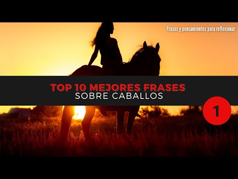 TOP MEJORES FRASES SOBRE ANIMALES (CABALLOS) #1 10 frases bonitas que te enamorarán de los caballos