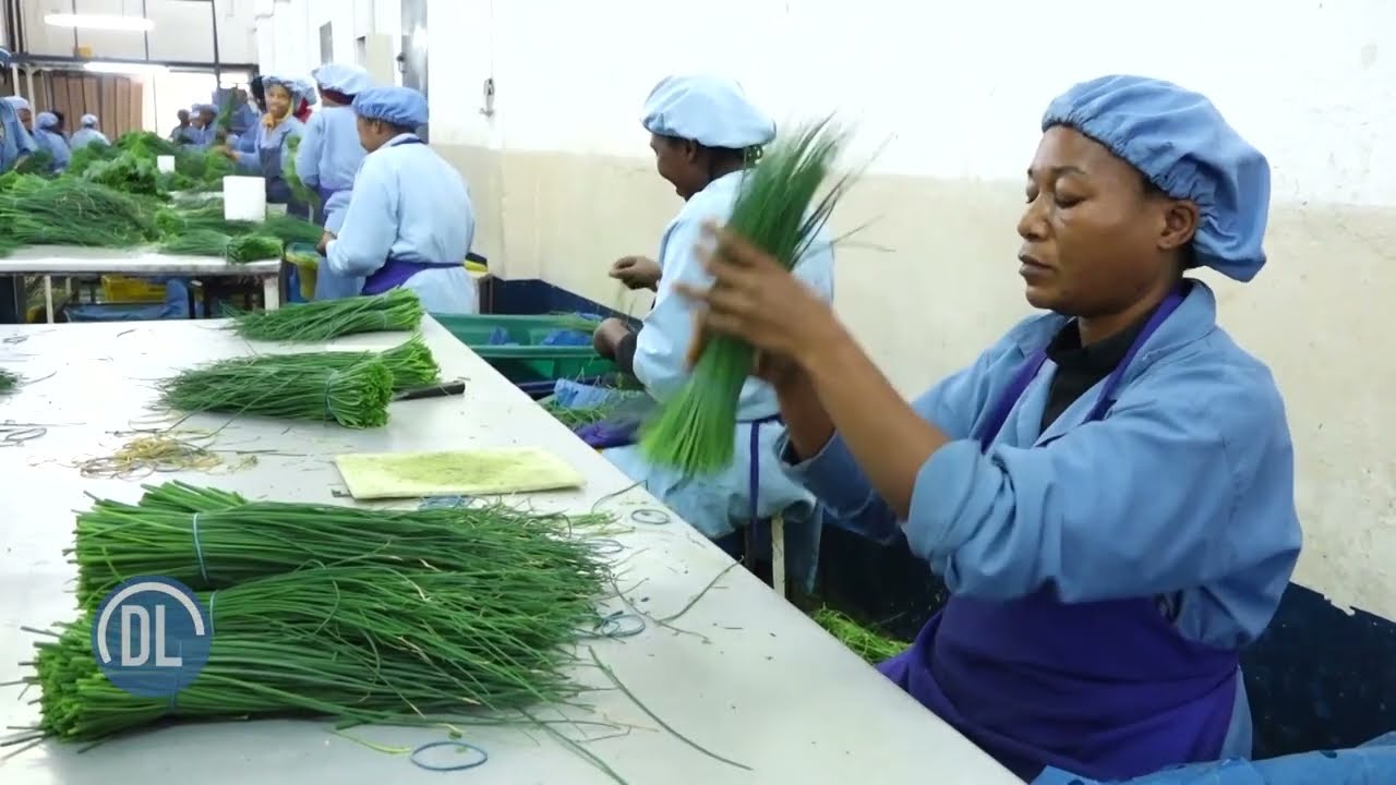 Je, unajua nini kinachokwamisha uwekezaji mkubwa katika sekta ya kilimo?