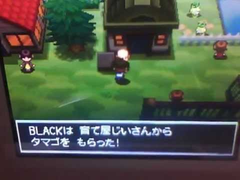 ポケモンbw２ 謎の卵バグ Youtube