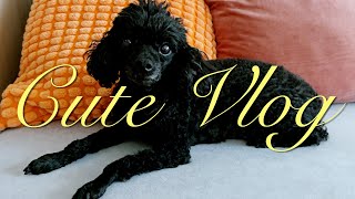 :  Cute VLOG #111|   |   | 