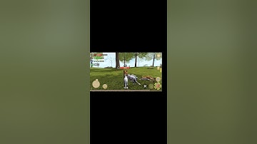 cat simulator 2020 part 1