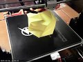 Timelapse of a Twisted Vase