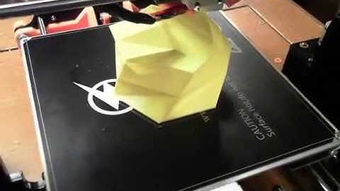 Timelapse of a Twisted Vase