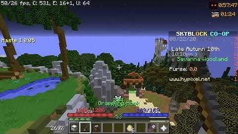 Hypixel Skyblock Bug Report