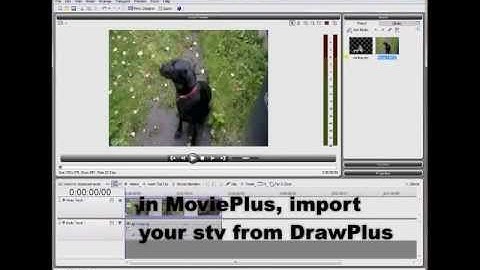 How to import animation into video in Serif MoviePlus