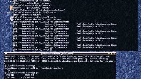 Running the server as a service under mono
