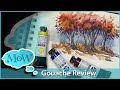 Daniel smith gouache review first look