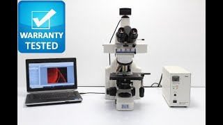 Celebrity Nikon E400 Fluorescence Microscope [BOSTONIND] - 41699 Wealth