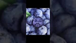 Burping Blue Berry (Real)