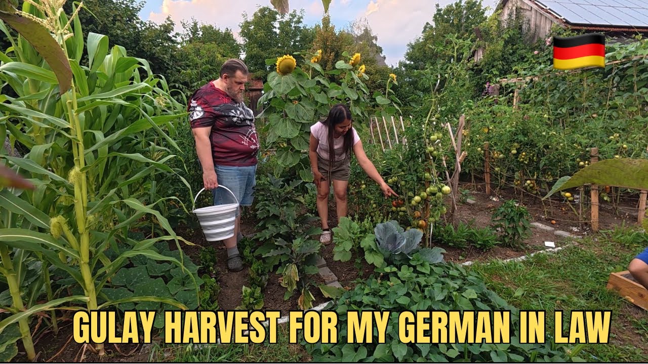 Harvesting Gulay for my Byenan | Filipina Simple Life in Germany