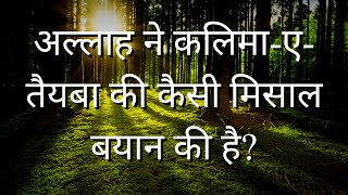 अल्लाह ने कलिमा-ए-तैयबा की कैसी मिसाल बयान की है? | Voice of Quran - Hindi screenshot 4