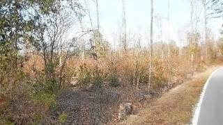 13 Ac South Macon St video tour