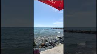 Huzur veren sesler