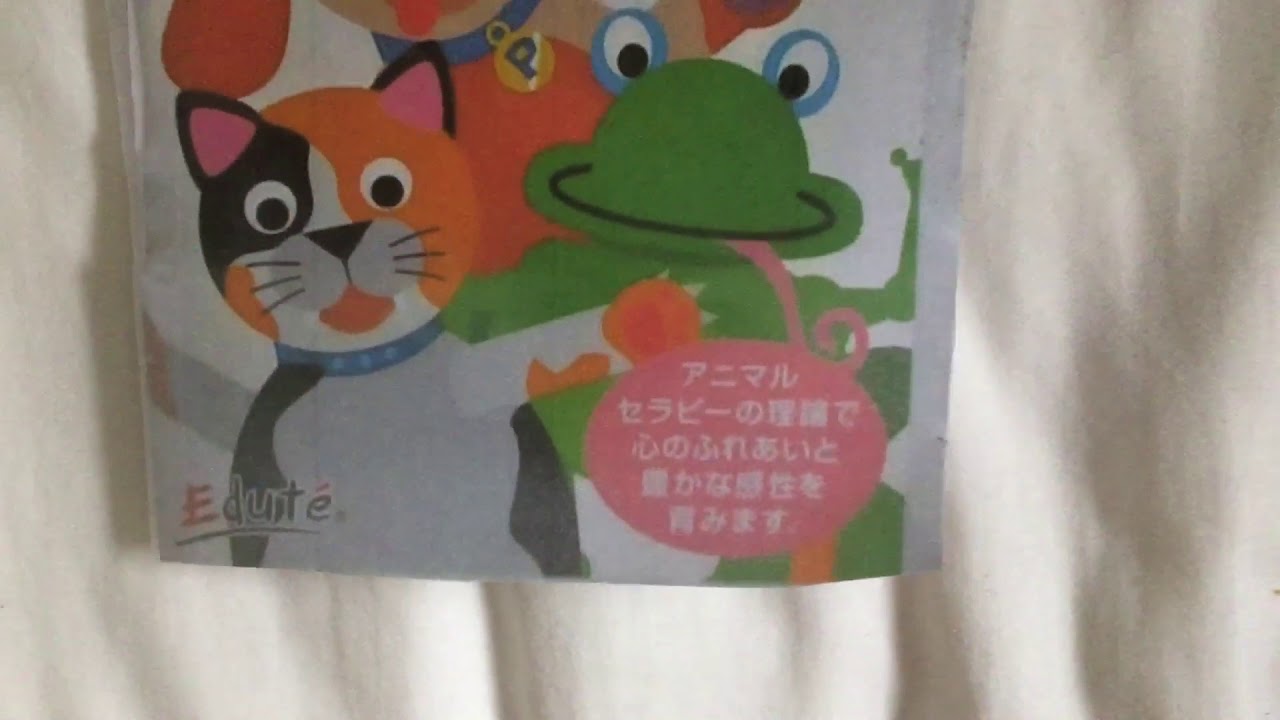 Baby Dolittle Neighborhood Animals Japanese Edute 2001 VHS Review