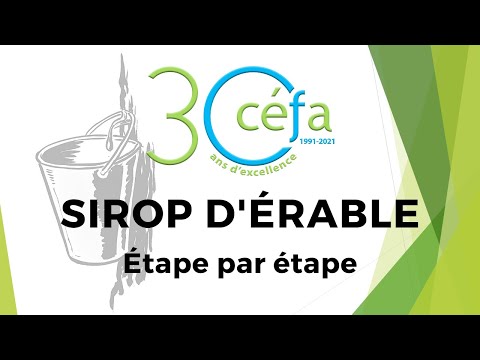 Vidéo: Sirop D'érable - Composition, Avantages, Application