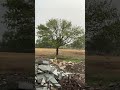 Rain asmr #asmr #asmrsounds