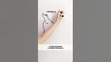 Может ли ЖЕЛУДОК УМЕНЬШИТЬСЯ? — Научпок #shorts