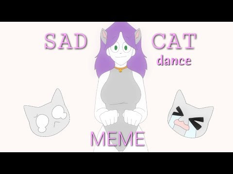 SAD CAT DANCE | MEME ANIMATION | Di Arte