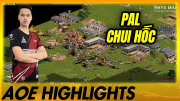 PALMYRAN CÓ HỐC? Lạc đà đông như dòi…| AoE Highlights #aoe