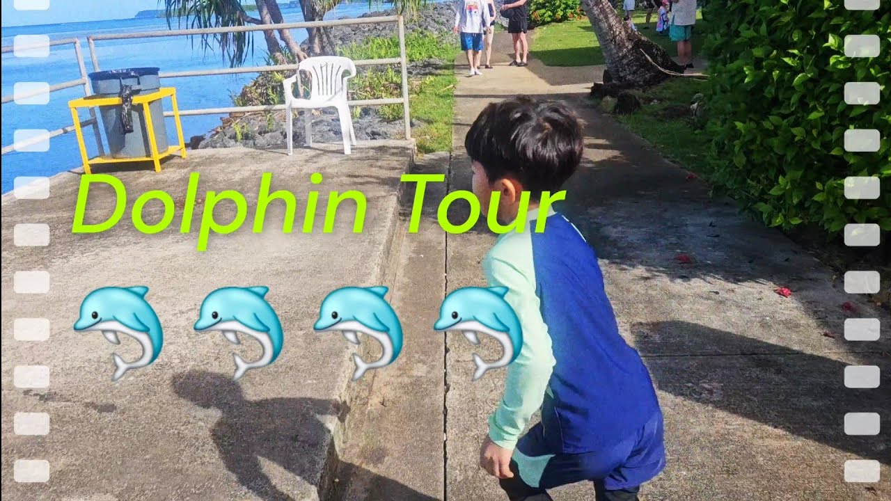 🇬🇺 괌 여행 필수코스 🐬 돌핀투어에 나선 폭군 채널주 #돌핀투어 #괌여행필수코스 #dolphin
