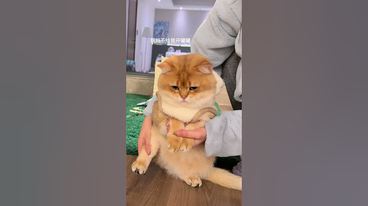 #解锁天天跺脚生闷气 生气了，自己猜吧