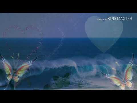 Mazhai Nindra Pinbum Thooral My Song