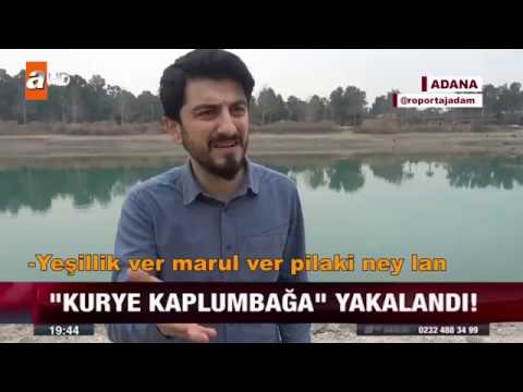 Kaplumbağa Uyuşturucu Taşırken Yakalandı - Röportaj Adam