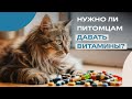 Нужно ли питомцам давать витамины?