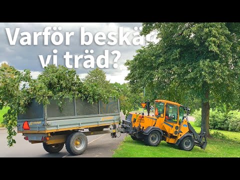 Video: Läckra Naturliga Drycker: Beskärcocktail